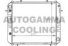 OPEL 1302146 Radiator, engine cooling